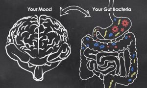ibs causes gut brain